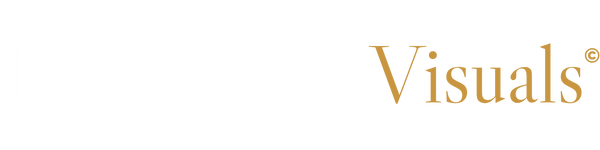 REAL ESTATE ViSUALS
